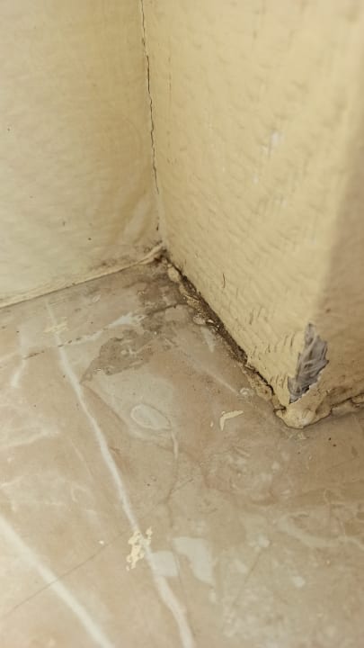 Zimmer Hotel Gremersdorf - Zum grünen Jäger