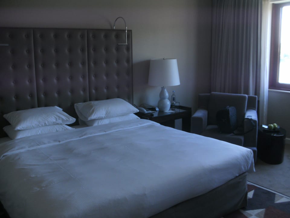 Rheinblick-Zimmer 1. Etage Hyatt Regency Köln