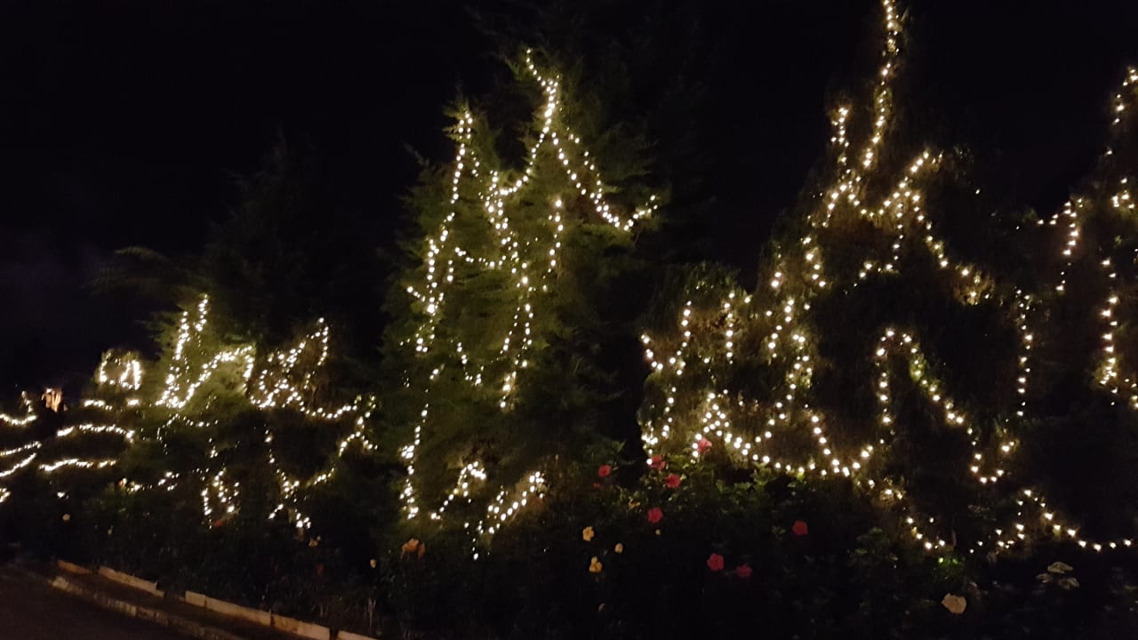 Gartenanlage Hotel Strawberry Park Resort