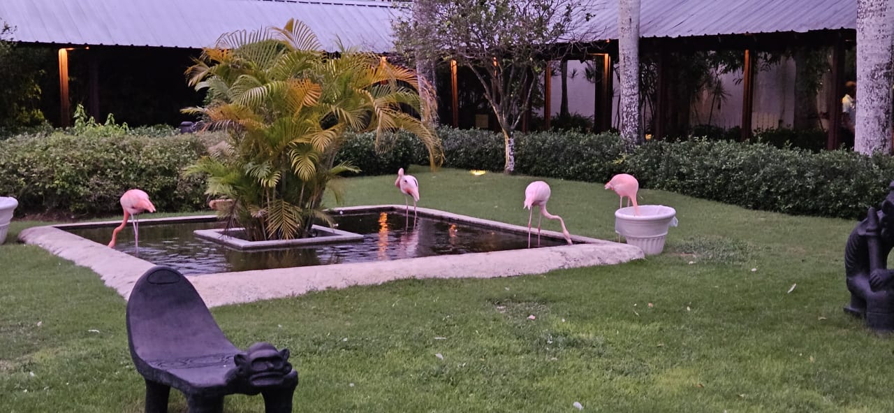 Gartenanlage Secrets La Romana Resort & Spa - Adult Only