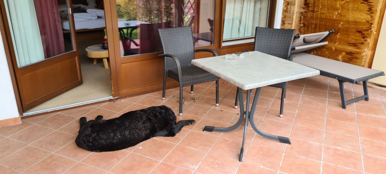 Ausblick Das Mühlwald - Quality Time Family Resort