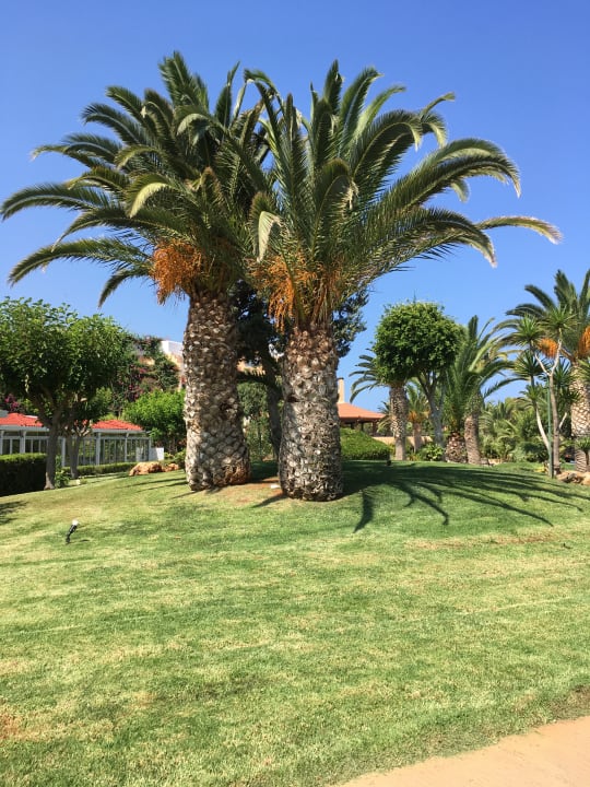 Gartenanlage Anissa Beach & Village