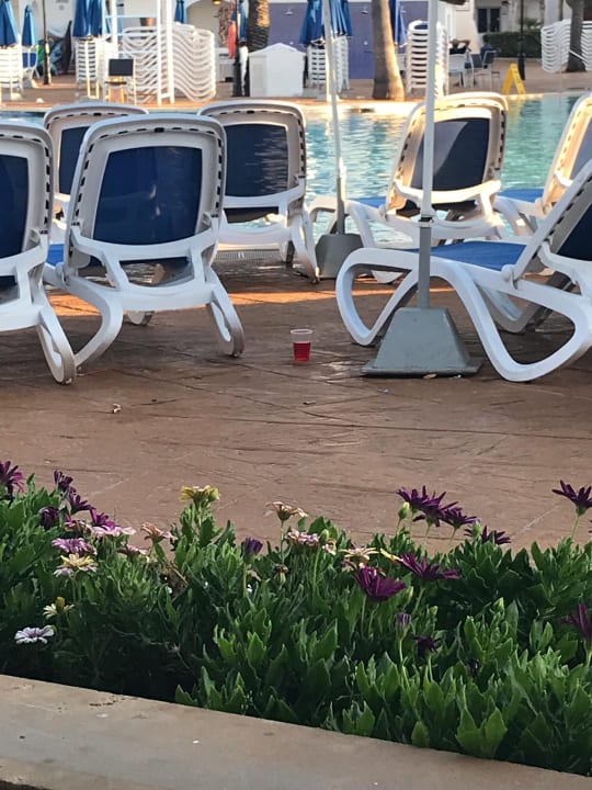 Pool Globales Bouganvilla