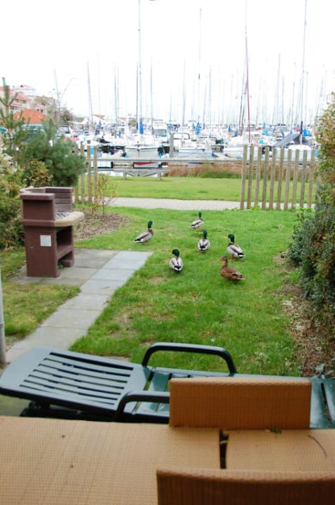 Blick von der Terrasse Center Parcs Port Zélande