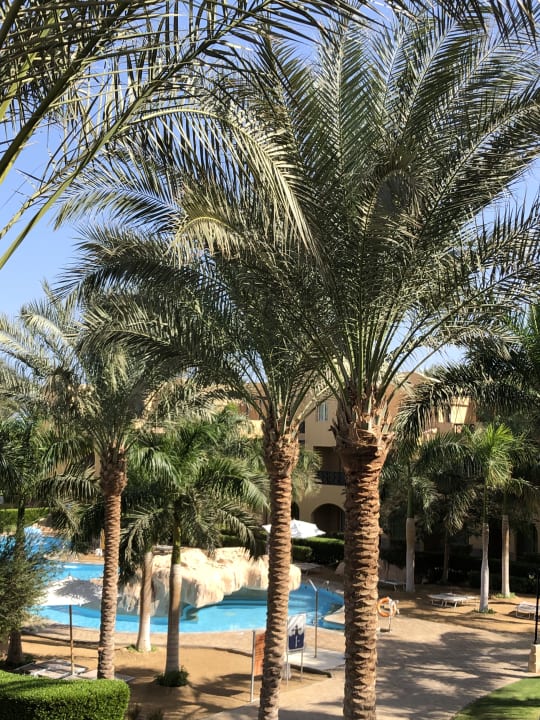 Gartenanlage Stella Garden Resort & Spa, Makadi Bay