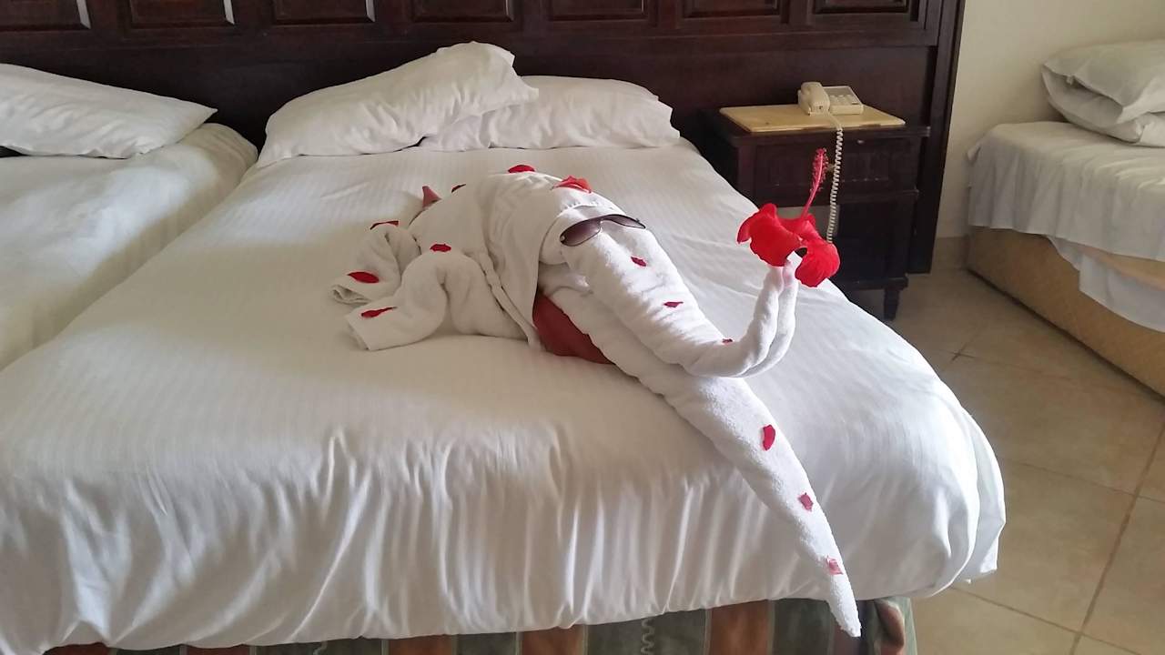 Really impressive Tirana Aqua Park Resort