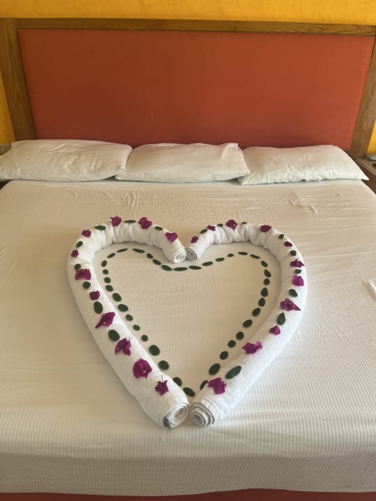 Zimmer Hotel Gorgonia Beach Resort