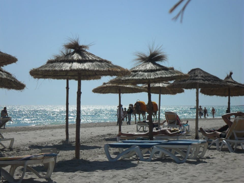 Einfach schön! Hotel Meninx Djerba