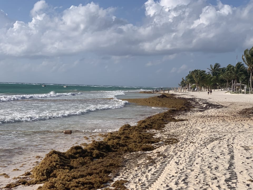 Strand Catalonia Royal Tulum Beach & Spa Resort - Adults only