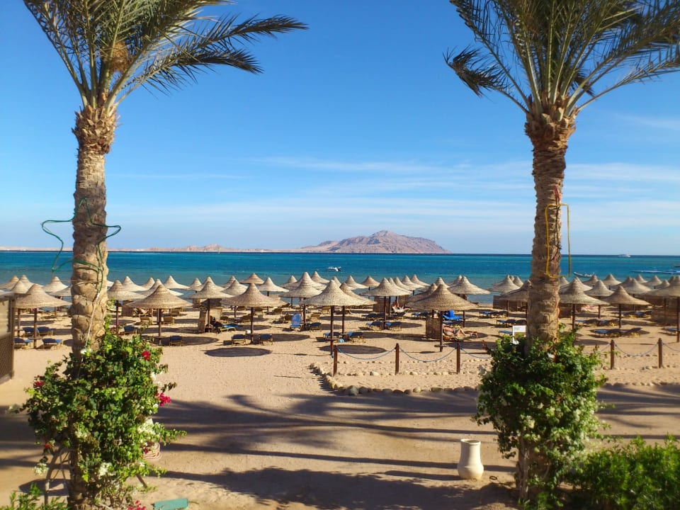 Zum Entspannen JAZ Belvedere Resort