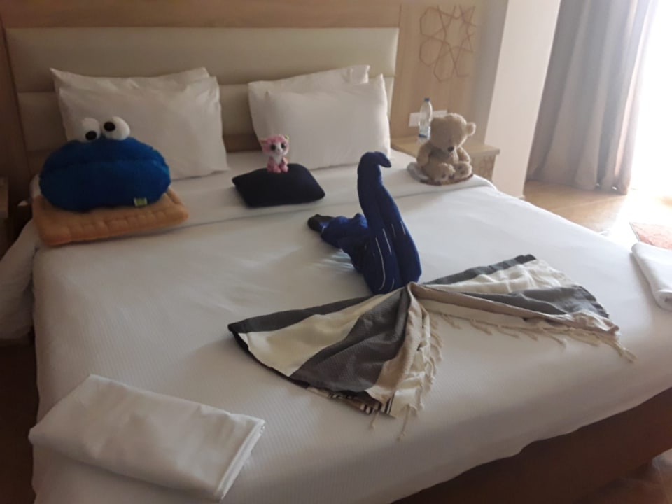 Zimmer Beach Albatros Resort