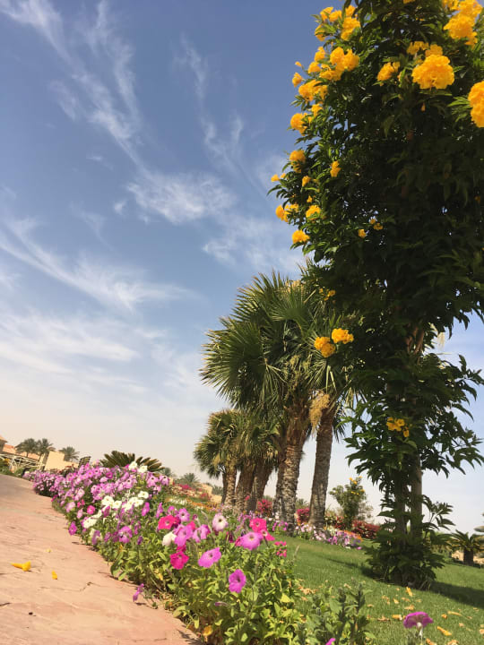 Gartenanlage Cleopatra Luxury Resort Makadi Bay