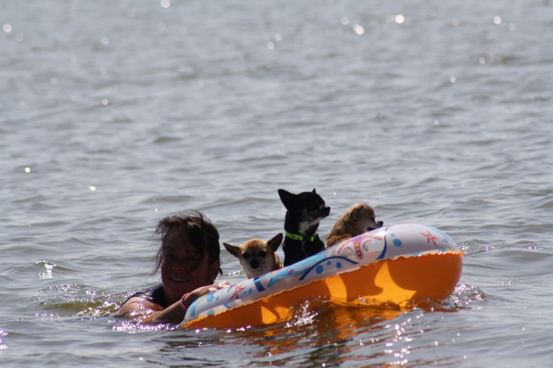 Sonstiges Ferienwohnungen Piratennest Born