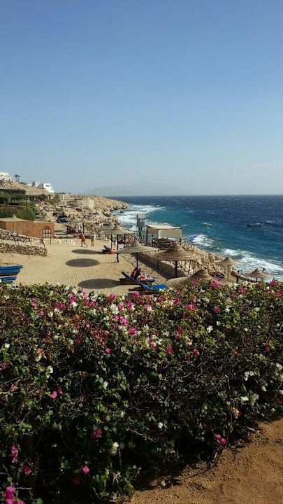 Strand Siva Sharm