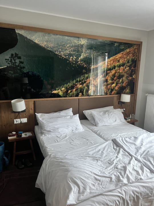 Zimmer Torfhaus Harzresort