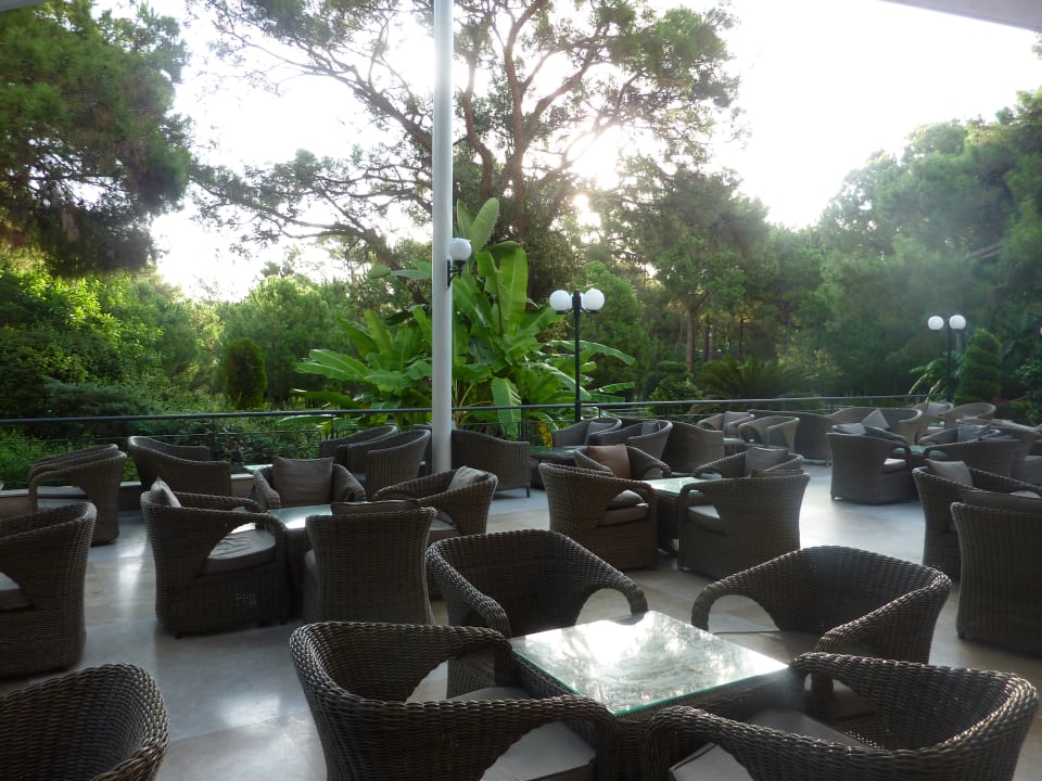 Außenansicht Balmy Foresta