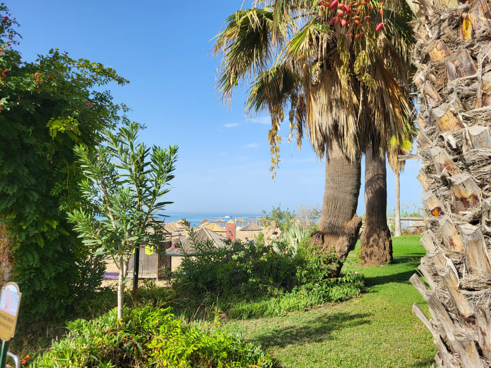 Gartenanlage Hotel Defne Garden