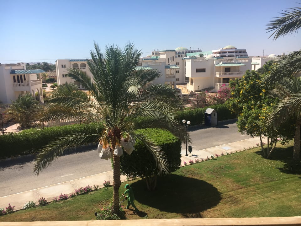 Ausblick Desert Rose