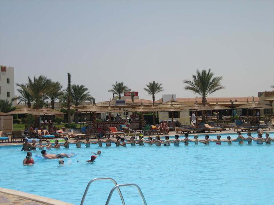 Wassergymnastik Pickalbatros Dana Beach Resort - Hurghada