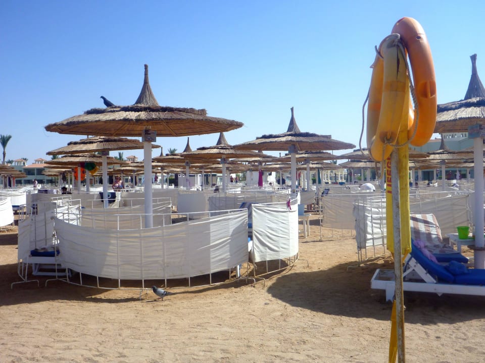 Alles superschön gepflegt Pickalbatros Dana Beach Resort - Hurghada
