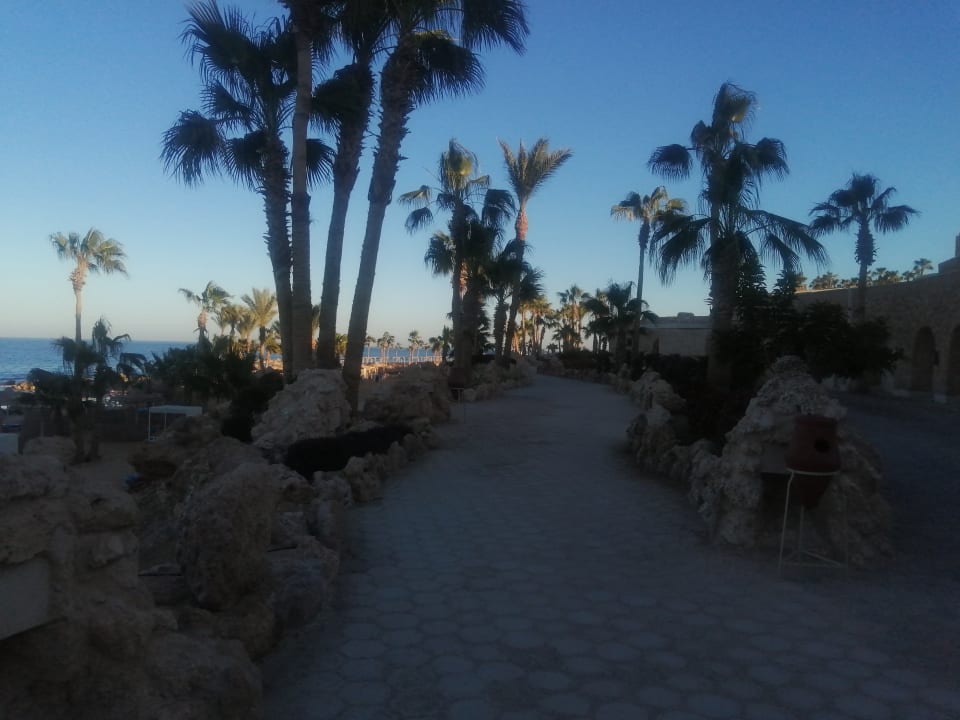 Gartenanlage Pickalbatros Citadel Resort