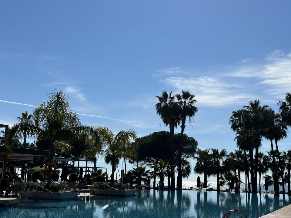 Pool Acanthus Cennet Barut Collection