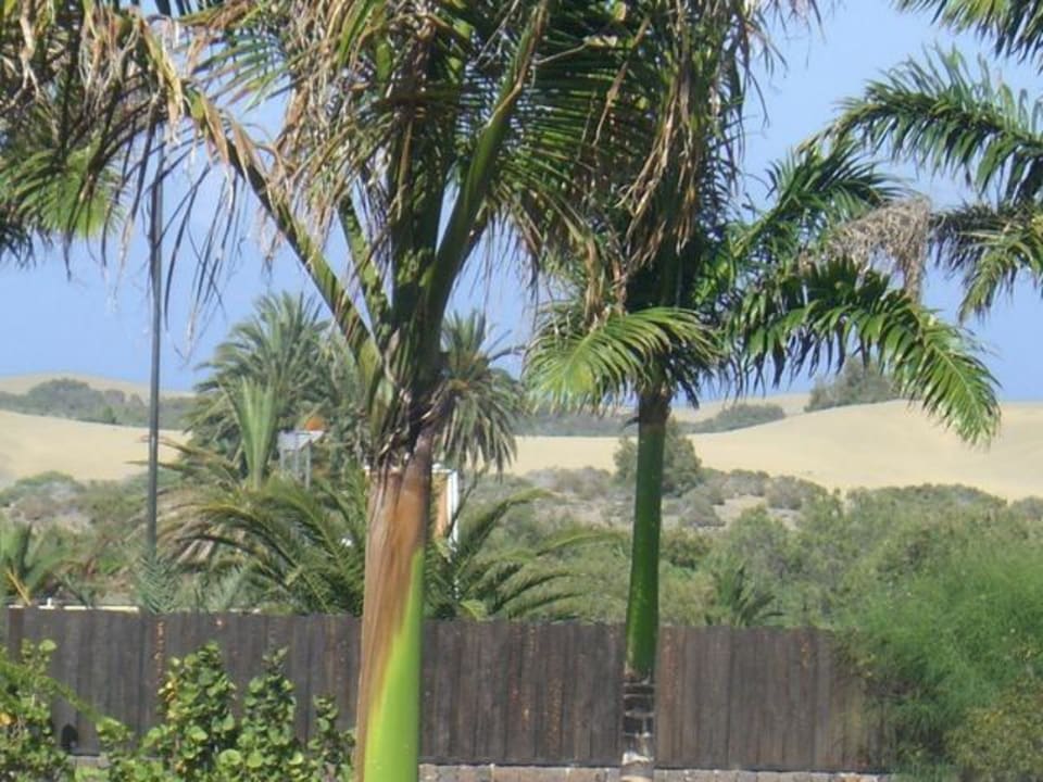 Mit Blick auf die Dünen von Maspalomas Lopesan Baobab Resort