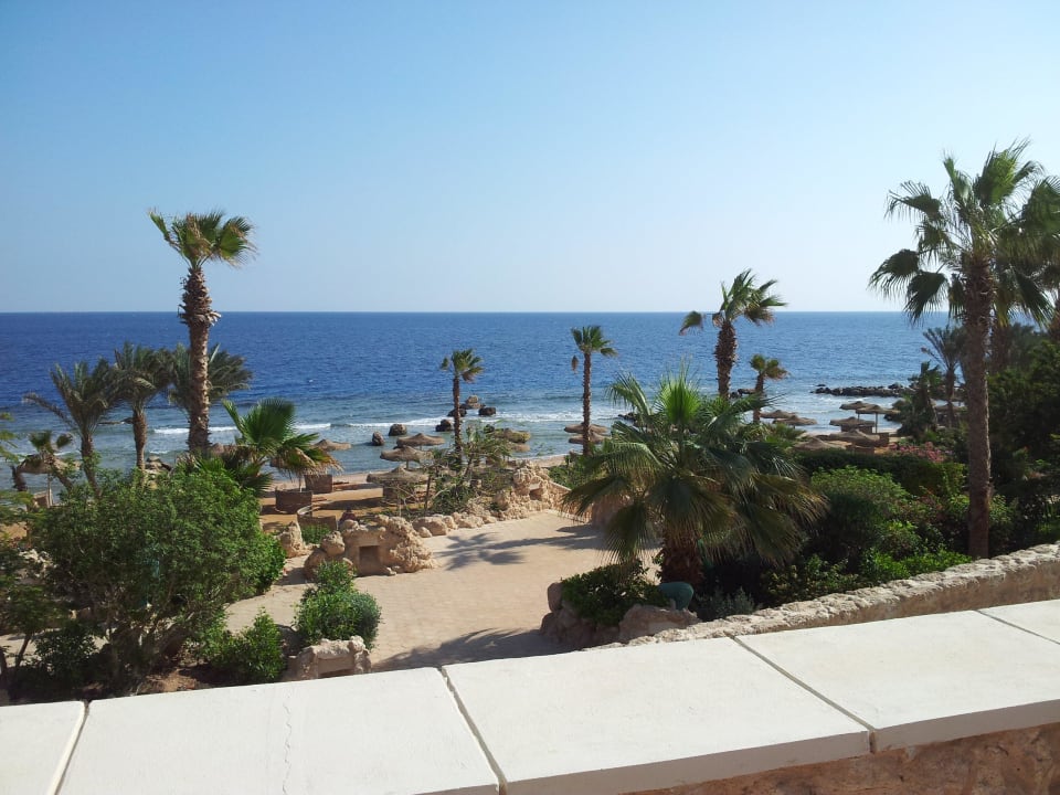 Вид с балкона Pickalbatros Citadel Resort