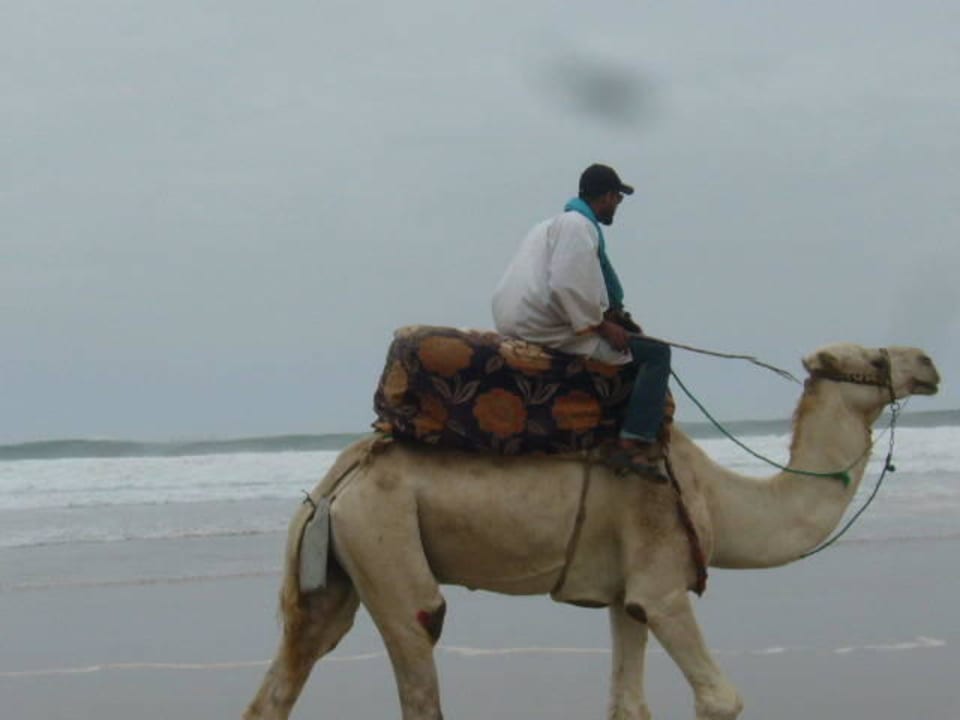 Kamelritt Hotel Riu Tikida Dunas