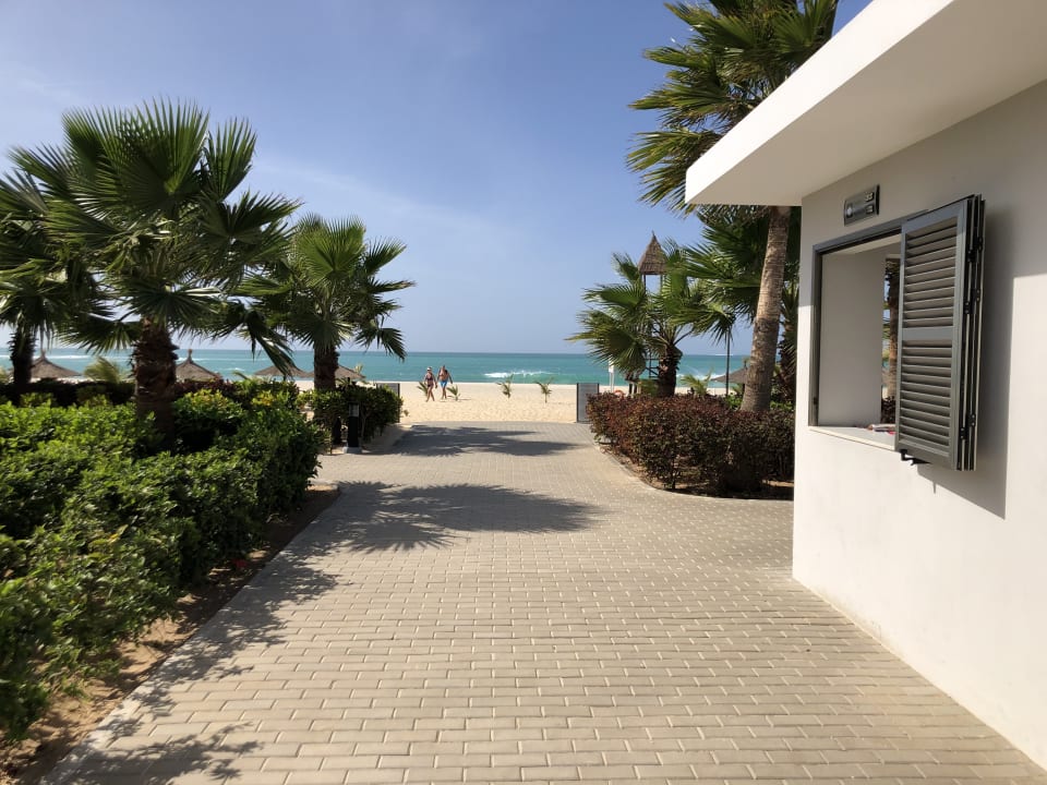 Gartenanlage Hotel Riu Palace Boavista