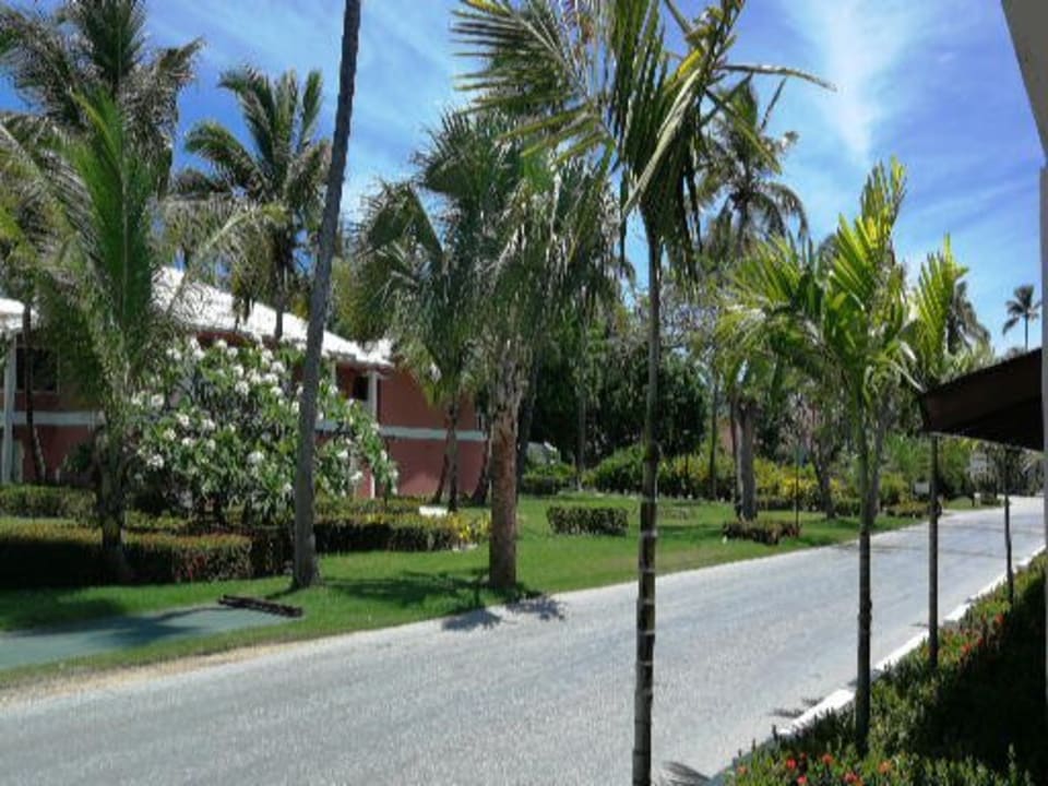 Gartenanlage Grand Palladium Punta Cana Resort & Spa
