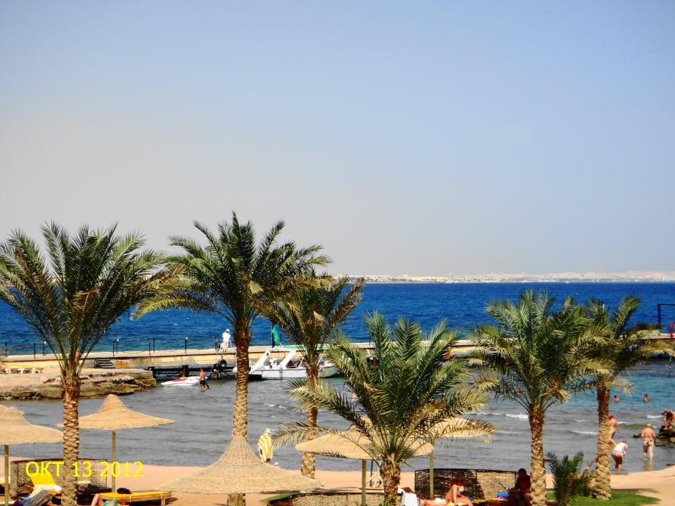 Пейзаж Desert Rose