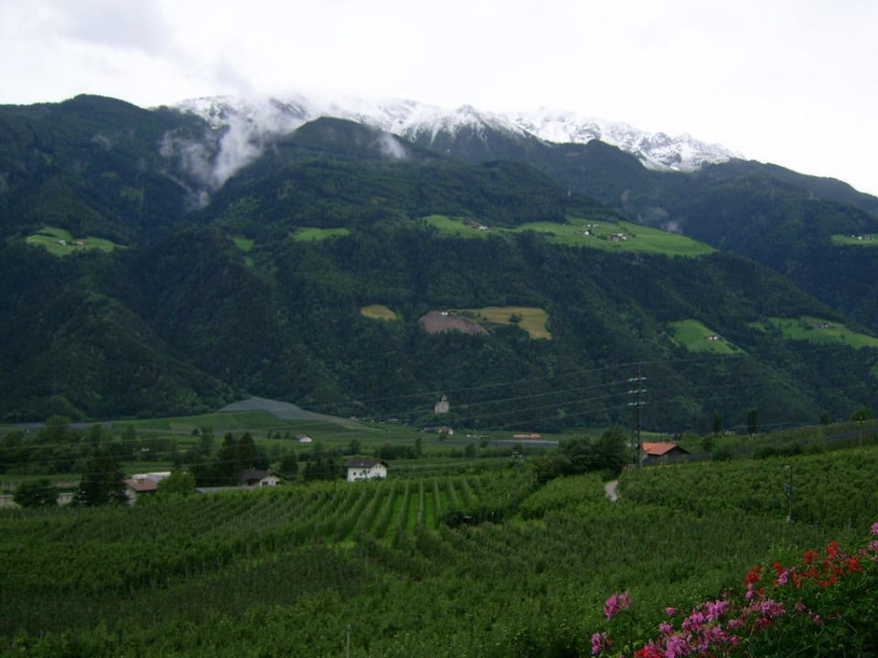 Ausblick vom Balkon Oberbrunnhof Ferienwohnungen