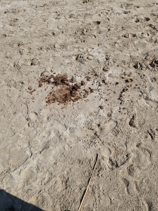 Strand TMK Marine Beach by Turismark