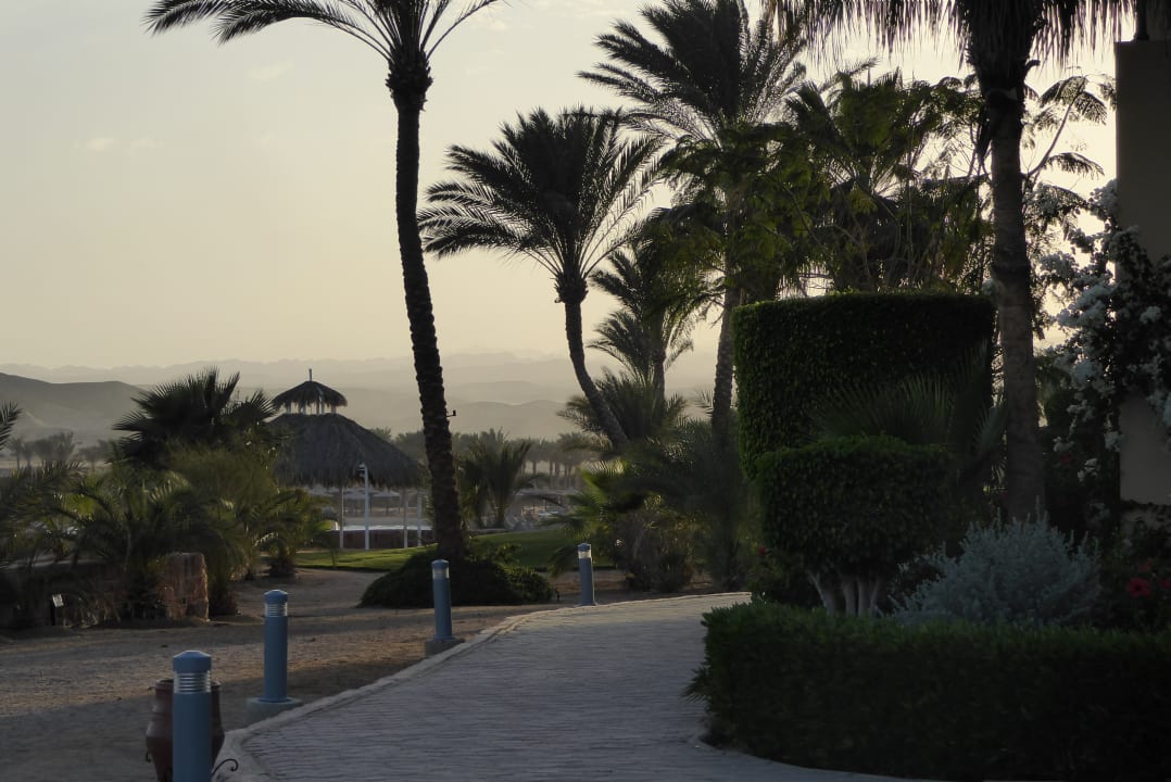 Gartenanlage Steigenberger Coraya Beach - Adults only