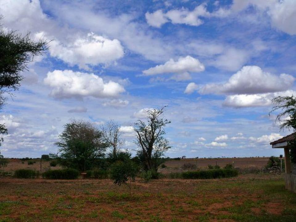 Ausblick Ashnil Aruba Lodge
