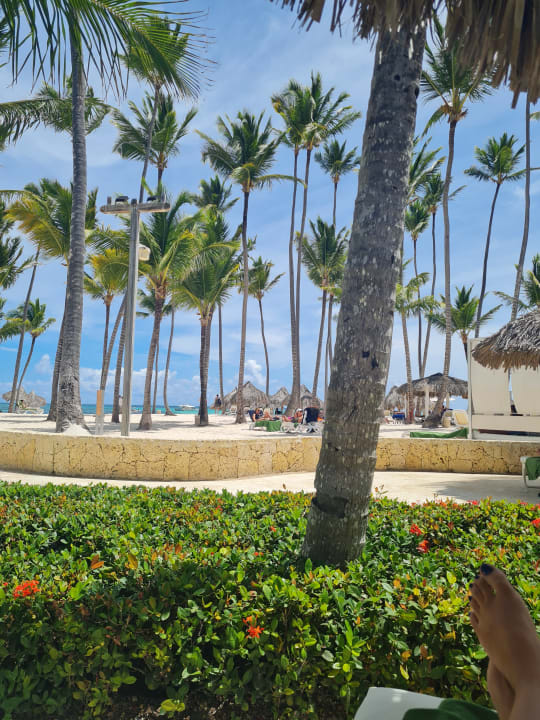 Ausblick Meliá Punta Cana Beach Resort - A Wellness Inclusive For Adults Only