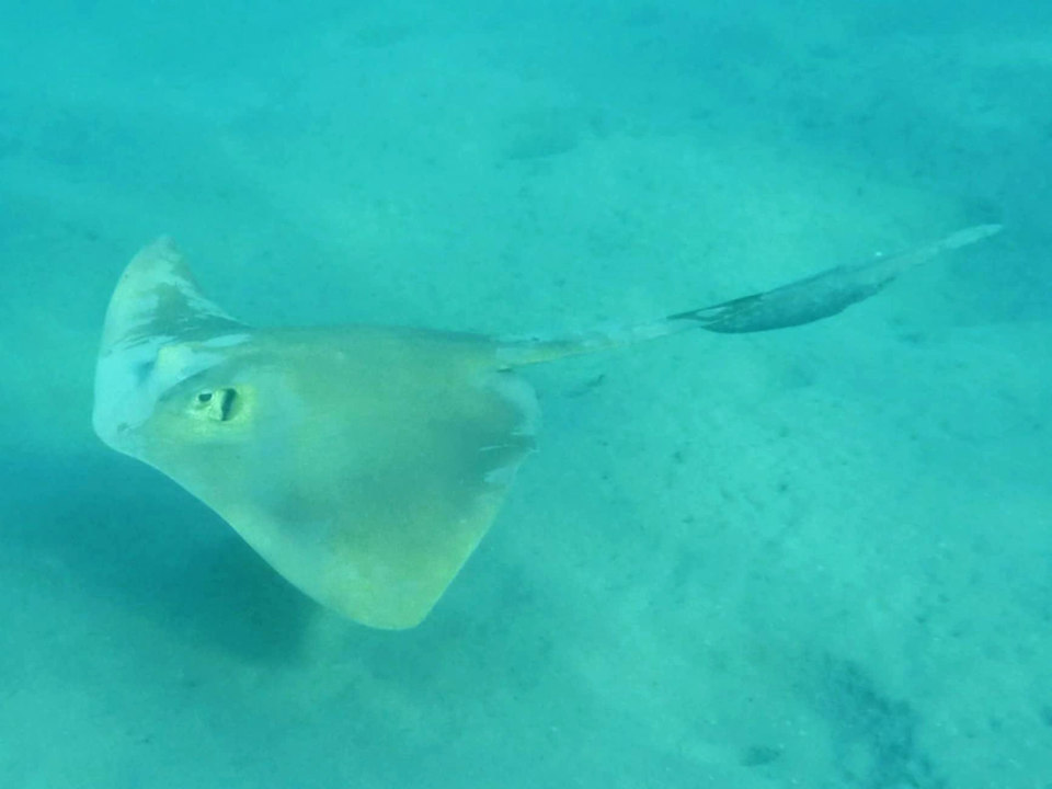 Sport & Freizeit Shams Alam Beach Resort