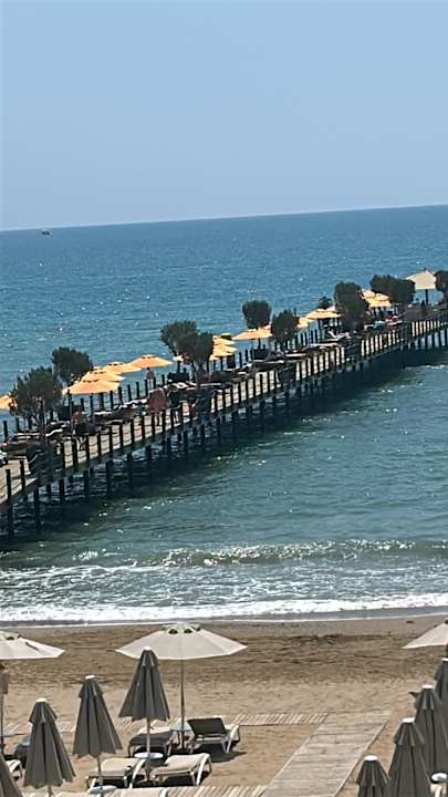 Strand Arum Barut Collection