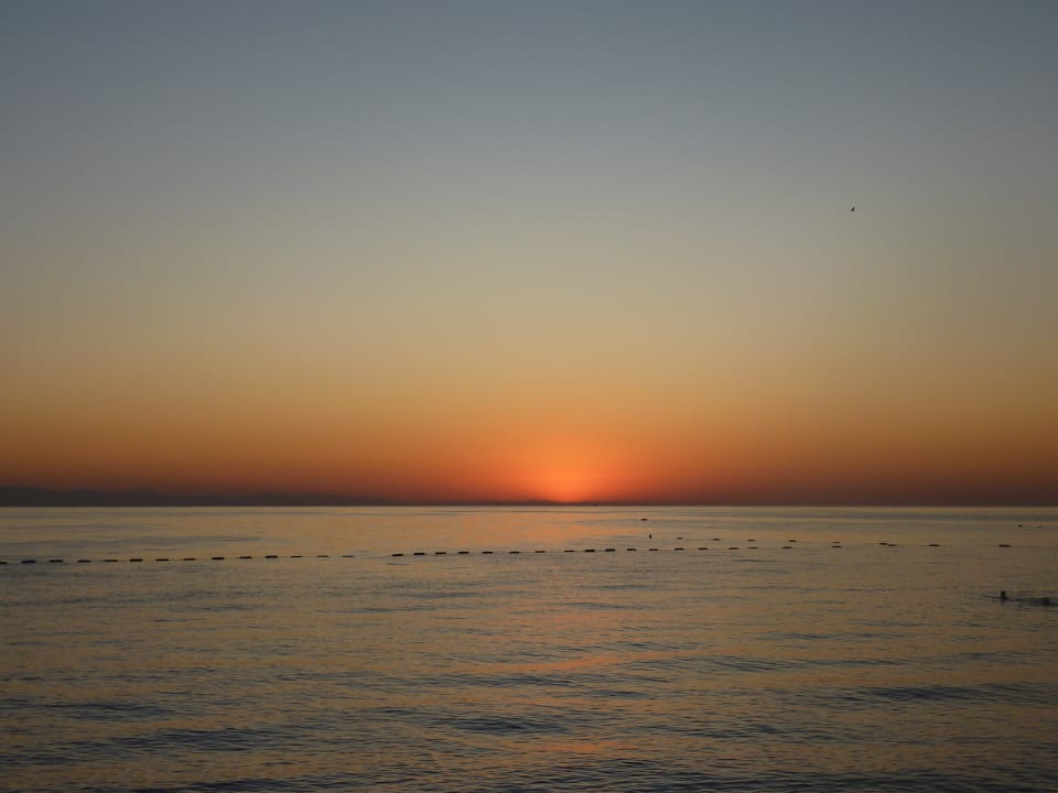 Strand Balmy Foresta