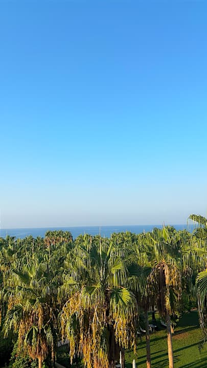 Ausblick Royal Atlantis Beach Hotel