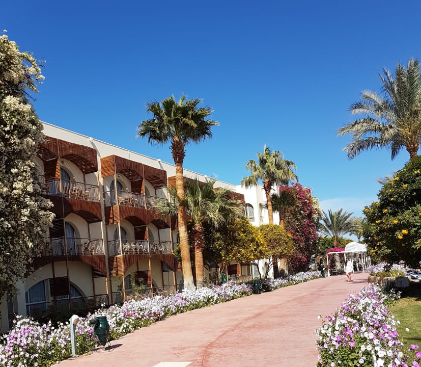 Ausblick Desert Rose