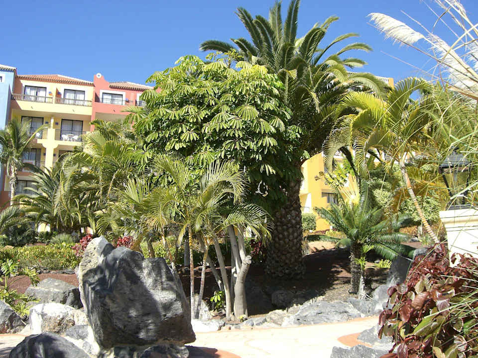 Bepflanzung im Hotel Bahia Principe Sunlight Costa Adeje