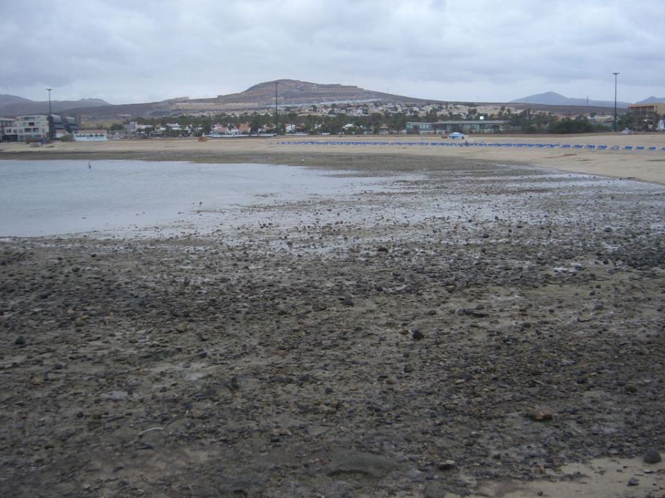 Schoener Strand Barceló Fuerteventura Castillo