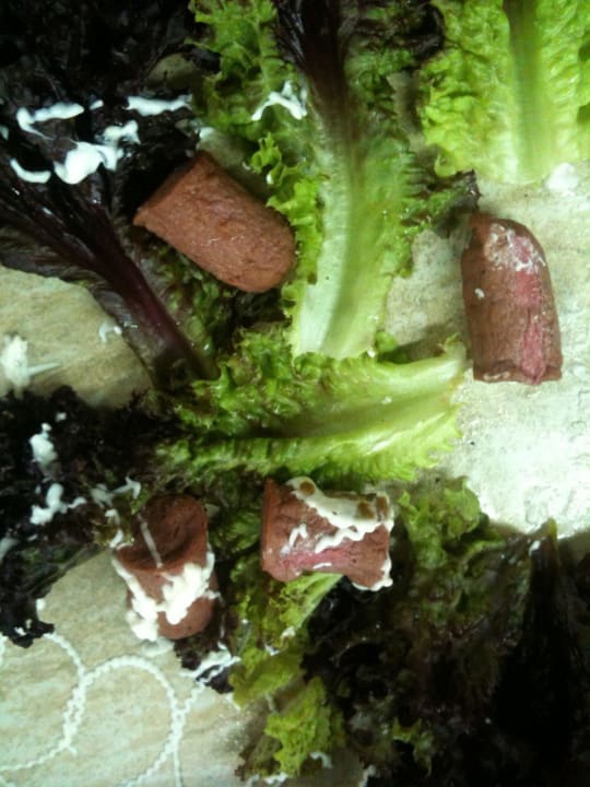 Würstchen am Abend Prestige Alanya