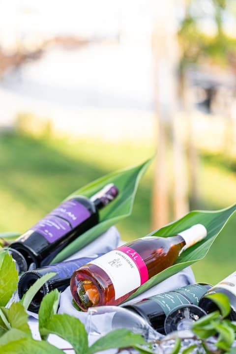 Gastro Club Hotel Phaselis Rose