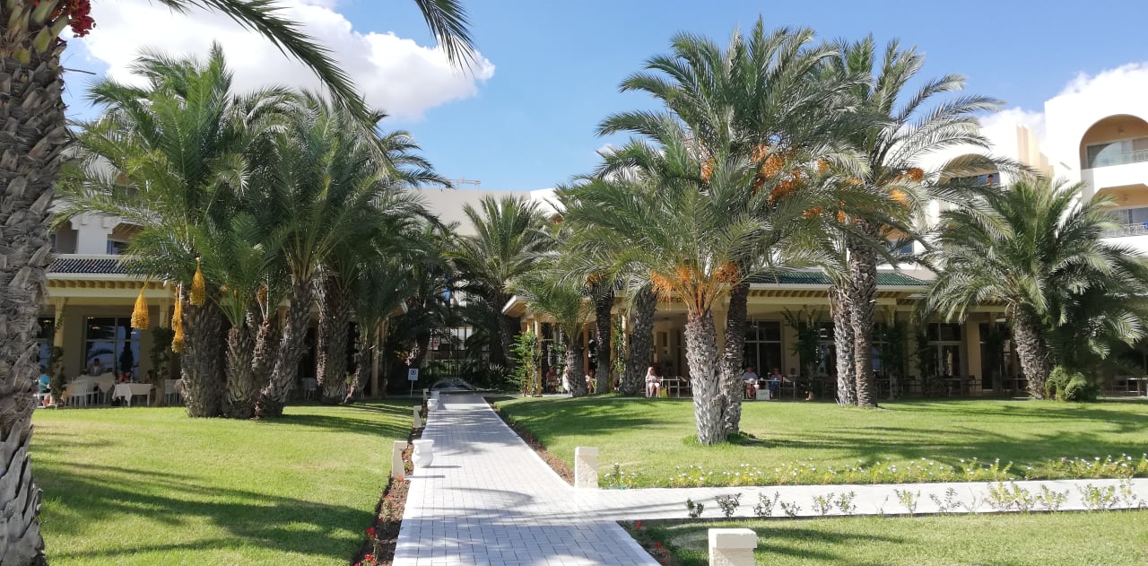 Garten Iberostar Waves Averroes