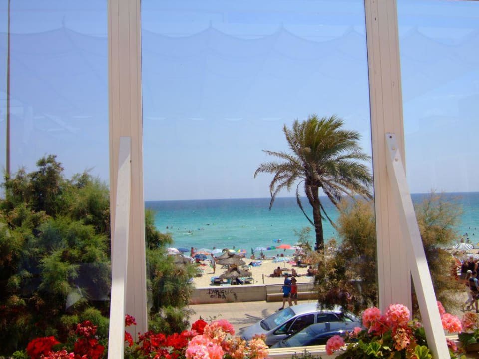 Ausblick von der Terrasse  Hipotels Don Juan