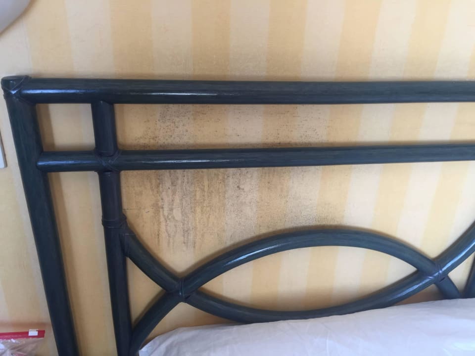 Wand hinterm Bett Hotel Regina