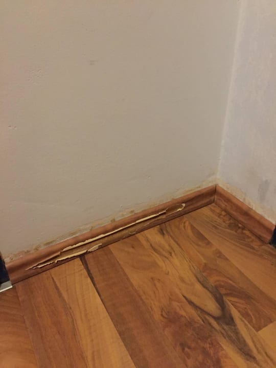 Sockelleisten defekt, teilweise Schimmelbefall Das Steinberger Hotel